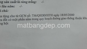 Bán đất thổ Đường Trần Văn Chẩm, Xã Tân Thông Hội, Huyện Củ Chi. DT: 16m x 50m, diện tích: 800m2 giá: 12.0 tỷ, 15 triệu/m2, 750 triệu/mét ngang