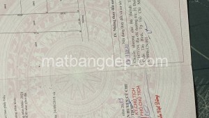 Bán đất vườn Đường 1, Xã Tân Thạnh Đông, Huyện Củ Chi. DT: 15m x 77m, diện tích: 1155m2 giá: 3.5 tỷ, 3.03 triệu/m2, 233.33 triệu/mét ngang
