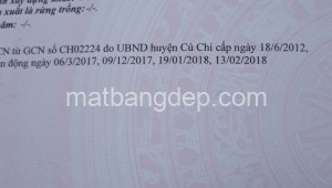Bán đất thổ Đường Đỗ Đăng Tuyển, Xã An Nhơn Tây, Huyện Củ Chi. DT: 20m x 57m, diện tích: 1268m2 giá: 7.4 tỷ
