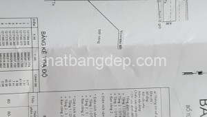 Bán đất thổ Đường 1, Xã Phú Hòa Đông, Huyện Củ Chi. DT: 23m x 42m, diện tích: 966m2 giá: 7.0 tỷ, 7.25 triệu/m2, 304.35 triệu/mét ngang