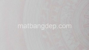 Bán đất thổ Đường 1, Xã An Phú, Huyện Củ Chi. DT: 15m x 64m, diện tích: 960m2 giá: 2.650 tỷ