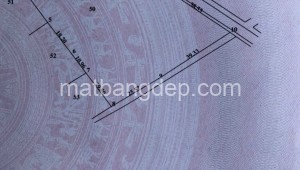 Bán đất vườn Đường 1, Xã Tân Phú Trung, Huyện Củ Chi. DT: 90m x 60m, diện tích: 4146m2 giá: 8.0 tỷ