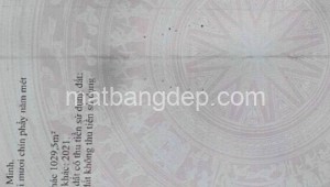 Bán đất thổ Đường 1, Xã Trung Lập Thượng, Huyện Củ Chi. DT: 46m x 35m, diện tích: 1610m2 giá: 8.0 tỷ, 4.97 triệu/m2, 173.91 triệu/mét ngang