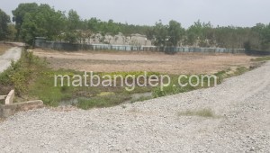 Bán đất vườn Đường 1, Xã Thái Mỹ, Huyện Củ Chi. DT: 80m x 90m, diện tích: 4000m2 giá: 6.0 tỷ