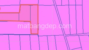 Bán đất thổ Đường 1, Xã Phước Thạnh, Huyện Củ Chi. DT: 45m x 65m, diện tích: 2925m2 giá: 2.4 tỷ, 0.82 triệu/m2, 53.33 triệu/mét ngang