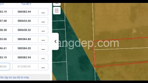 Bán đất thổ Đường 1, Xã Tân An Hội, Huyện Củ Chi. DT: 20m x 50m, diện tích: 1000m2 giá: 3.0 tỷ, 2.95 triệu/m2, 147.5 triệu/mét ngang