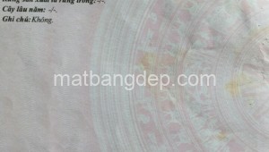 Bán đất thổ Đường 1, Xã Nhuận Đức, Huyện Củ Chi. DT: 25m x 45m, diện tích: 1125m2 giá: 3.3 tỷ