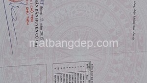 Bán đất lúa Đường 1, Xã Tân Thạnh Tây, Huyện Củ Chi. DT: 60m x 30m, diện tích: 1800m2 giá: 2.1 tỷ