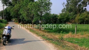 Bán đất thổ Đường 1, Xã Tân Thạnh Đông, Huyện Củ Chi. DT: 27m x 75m, diện tích: 2025m2 giá: 12.5 tỷ, 6.17 triệu/m2, 462.96 triệu/mét ngang