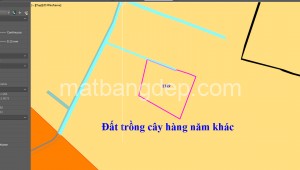 Bán đất vườn Đường 1, Xã Tân Thạnh Đông, Huyện Củ Chi. DT: 32m x 33m, diện tích: 1056m2 giá: 3.2 tỷ, 3.03 triệu/m2, 100 triệu/mét ngang