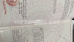 Bán đất thổ 116_20 Đường 1, Xã Phước Vĩnh An, Huyện Củ Chi. DT: 17m x 50m, diện tích: 850m2 giá: 4.3 tỷ