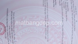 Bán đất vườn Đường 1, Xã Trung An, Huyện Củ Chi. DT: 38m x 33m, diện tích: 1254m2 giá: 2.9 tỷ, 2.31 triệu/m2, 76.32 triệu/mét ngang