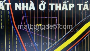 Bán đất lúa Đường 1, Xã Tân An Hội, Huyện Củ Chi. DT: 80m x 50m, diện tích: 4000m2 giá: 4.6 tỷ