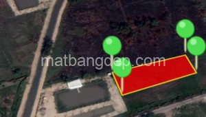 Bán đất vườn Đường 1, Xã Tân Thạnh Tây, Huyện Củ Chi. DT: 65m x 25m, diện tích: 1625m2 giá: 2.3 tỷ, 1.42 triệu/m2, 35.38 triệu/mét ngang