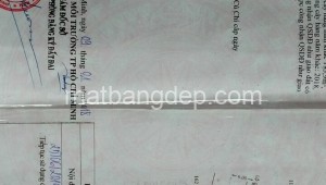 Bán đất thổ Đường 1, Xã Phước Hiệp, Huyện Củ Chi. DT: 20m x 25m, diện tích: 500m2 giá: 2.850 tỷ