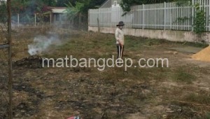 Bán đất thổ Đường 1, Xã Tân Phú Trung, Huyện Củ Chi. DT: 16m x 55m, diện tích: 880m2 giá: 8.0 tỷ, 9.09 triệu/m2, 500 triệu/mét ngang