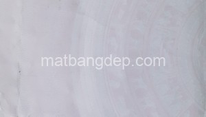 Bán đất thổ Đường Trung An, Xã Trung An, Huyện Củ Chi. DT: 20m x 45m, diện tích: 900m2 giá: 6.3 tỷ