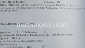 Bán đất thổ Đường 1, Xã An Nhơn Tây, Huyện Củ Chi. DT: 15m x 55m, diện tích: 825m2 giá: 4.690 tỷ