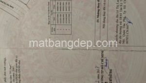 Bán đất thổ Đường Bùi Thị Điệt, Xã Nhuận Đức, Huyện Củ Chi. DT: 20m x 50m, diện tích: 1000m2 giá: 9.0 tỷ, 9 triệu/m2, 450 triệu/mét ngang