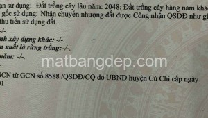 Bán nhà mặt tiền 11_25 Đường 1, Xã Nhuận Đức, Huyện Củ Chi. DT: 80m x 130m, diện tích: 10400m2 giá: 24,000,000.0 tỷ