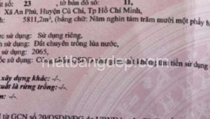 Bán đất vườn Đường 1, Xã An Phú, Huyện Củ Chi. DT: 240m x 20m, diện tích: 4800m2 giá: 7.9 tỷ