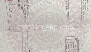 Bán đất thổ Đường 1, Xã Tân Phú Trung, Huyện Củ Chi. DT: 20m x 20m, diện tích: 400m2 giá: 4.5 tỷ, 11.25 triệu/m2, 225 triệu/mét ngang