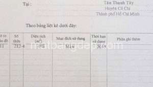 Bán đất thổ Đường 1, Xã Tân Thạnh Tây, Huyện Củ Chi. DT: 25m x 25m, diện tích: 625m2 giá: 3.2 tỷ, 5.12 triệu/m2, 128 triệu/mét ngang