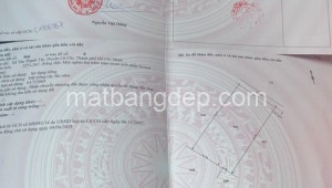 Bán đất vườn Đường 1, Xã Tân Thạnh Tây, Huyện Củ Chi. DT: 50m x 50m, diện tích: 2500m2 giá: 4.5 tỷ