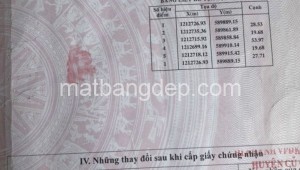 Bán đất vườn Đường 1, Xã Tân Thạnh Đông, Huyện Củ Chi. DT: 20m x 55m, diện tích: 1100m2 giá: 4.450 tỷ, 4.05 triệu/m2, 222.5 triệu/mét ngang
