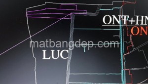 Bán đất vườn Đường 1, Xã Trung Lập Thượng, Huyện Củ Chi. DT: 300m x 50m, diện tích: 15000m2 giá: 14.0 tỷ, 0.93 triệu/m2, 46.67 triệu/mét ngang
