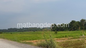 Bán đất vườn Xã An Phú, Huyện Củ Chi. DT: 190m x 75m, diện tích: 14250m2 giá: 18.0 tỷ