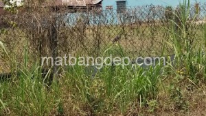 Bán đất thổ Đường 1, Xã Tân Phú Trung, Huyện Củ Chi. DT: 20m x 25m, diện tích: 500m2 giá: 4.6 tỷ, 9.2 triệu/m2, 230 triệu/mét ngang