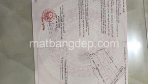 Bán nhà mặt tiền 55_36 Đường 101, Xã Trung An, Huyện Củ Chi. DT: 60m x 100m, diện tích: 6000m2 giá: 42.0 tỷ