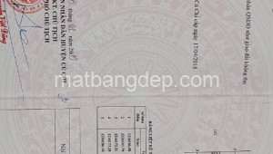 Bán đất vườn Đường 1, Xã Trung An, Huyện Củ Chi. DT: 15m x 37m, diện tích: 555m2 giá: 4.0 tỷ, 7.21 triệu/m2, 266.67 triệu/mét ngang