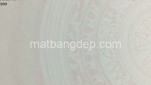 Bán đất vườn Đường 1, Xã Trung Lập Hạ, Huyện Củ Chi. DT: 30m x 130m, diện tích: 3900m2 giá: 3.5 tỷ, 0.9 triệu/m2, 116.67 triệu/mét ngang