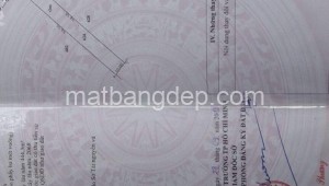 Bán đất vườn Đường 1, Xã Phú Mỹ Hưng, Huyện Củ Chi. DT: 20m x 95m, diện tích: 1900m2 giá: 11.0 tỷ, 5.79 triệu/m2, 550 triệu/mét ngang