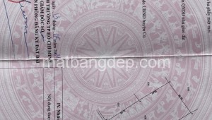 Bán đất vườn Đường 1, Xã Trung Lập Thượng, Huyện Củ Chi. DT: 100m x 100m, diện tích: 10000m2 giá: 7.0 tỷ, 0.7 triệu/m2, 70 triệu/mét ngang