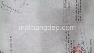 Bán đất vườn Đường 1, Xã Trung Lập Hạ, Huyện Củ Chi. DT: 30m x 35m, diện tích: 1050m2 giá: 4.0 tỷ, 3.81 triệu/m2, 133.33 triệu/mét ngang