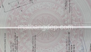 Bán đất thổ Đường 1, Xã Thái Mỹ, Huyện Củ Chi. DT: 30m x 65m, diện tích: 1950m2 giá: 9.5 tỷ, 4.87 triệu/m2, 316.67 triệu/mét ngang
