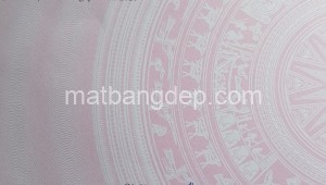 Bán đất lúa 1091,1090_9 Đường 1, Xã Tân Phú Trung, Huyện Củ Chi. DT: 20m x 50m, diện tích: 1000m2 giá: 2.1 tỷ