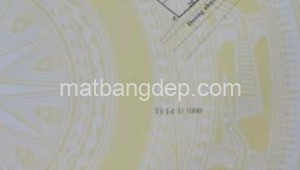 Bán đất thổ Đường 1, Xã An Phú, Huyện Củ Chi. DT: 20m x 40m, diện tích: 800m2 giá: 4.0 tỷ