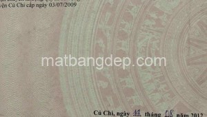 Bán đất thổ Đường 1, Xã Thái Mỹ, Huyện Củ Chi. DT: 40m x 100m, diện tích: 4000m2 giá: 6.5 tỷ, 1.63 triệu/m2, 162.5 triệu/mét ngang