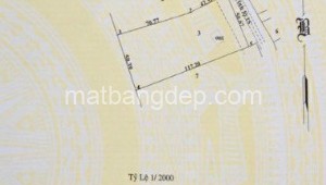 Bán nhà mặt tiền 03_08 Đường 101, Xã Nhuận Đức, Huyện Củ Chi. DT: 50m x 120m, diện tích: 6000m2 giá: 28.5 tỷ