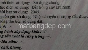 Bán đất thổ Đường 1, Xã Bình Mỹ, Huyện Củ Chi. DT: 19m x 28m, diện tích: 532m2 giá: 3.0 tỷ