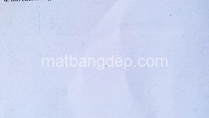 Bán đất thổ Đường 1, Xã Tân Thạnh Đông, Huyện Củ Chi. DT: 17m x 20m, diện tích: 340m2 giá: 2.650 tỷ