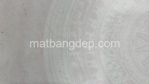 Bán đất thổ Đường 1, Xã Bình Mỹ, Huyện Củ Chi. DT: 30m x 80m, diện tích: 2400m2 giá: 11.2 tỷ