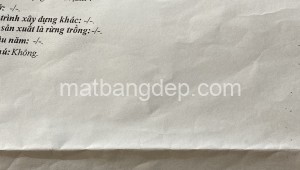 Bán đất thổ Đường 1, Xã Tân Phú Trung, Huyện Củ Chi. DT: 10m x 32m, diện tích: 320m2 giá: 3.8 tỷ, 11.88 triệu/m2, 380 triệu/mét ngang