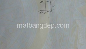 Bán đất vườn Đường 1, Xã Trung An, Huyện Củ Chi. DT: 20m x 50m, diện tích: 1000m2 giá: 1.9 tỷ, 1.9 triệu/m2, 95 triệu/mét ngang