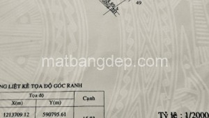Bán đất thổ Đường 1, Xã Tân Thạnh Đông, Huyện Củ Chi. DT: 15m x 55m, diện tích: 850m2 giá: 6.5 tỷ