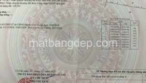 Bán đất thổ Đường 1, Xã An Phú, Huyện Củ Chi. DT: 15m x 65m, diện tích: 975m2 giá: 2.650 tỷ